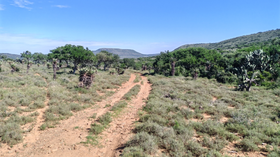 0 Bedroom Property for Sale in Somerset East Rural Eastern Cape